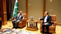 CM PUNJAB MEETING WITH MAYOR TURKEY