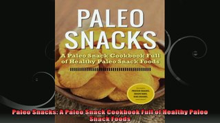 Paleo Snacks A Paleo Snack Cookbook Full of Healthy Paleo Snack Foods