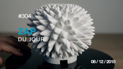 ZAP DU JOUR #304 : Hypnotic Cardistry Kid / Un cerf sauvé de la noyade / Il a voulu faire la malin... /