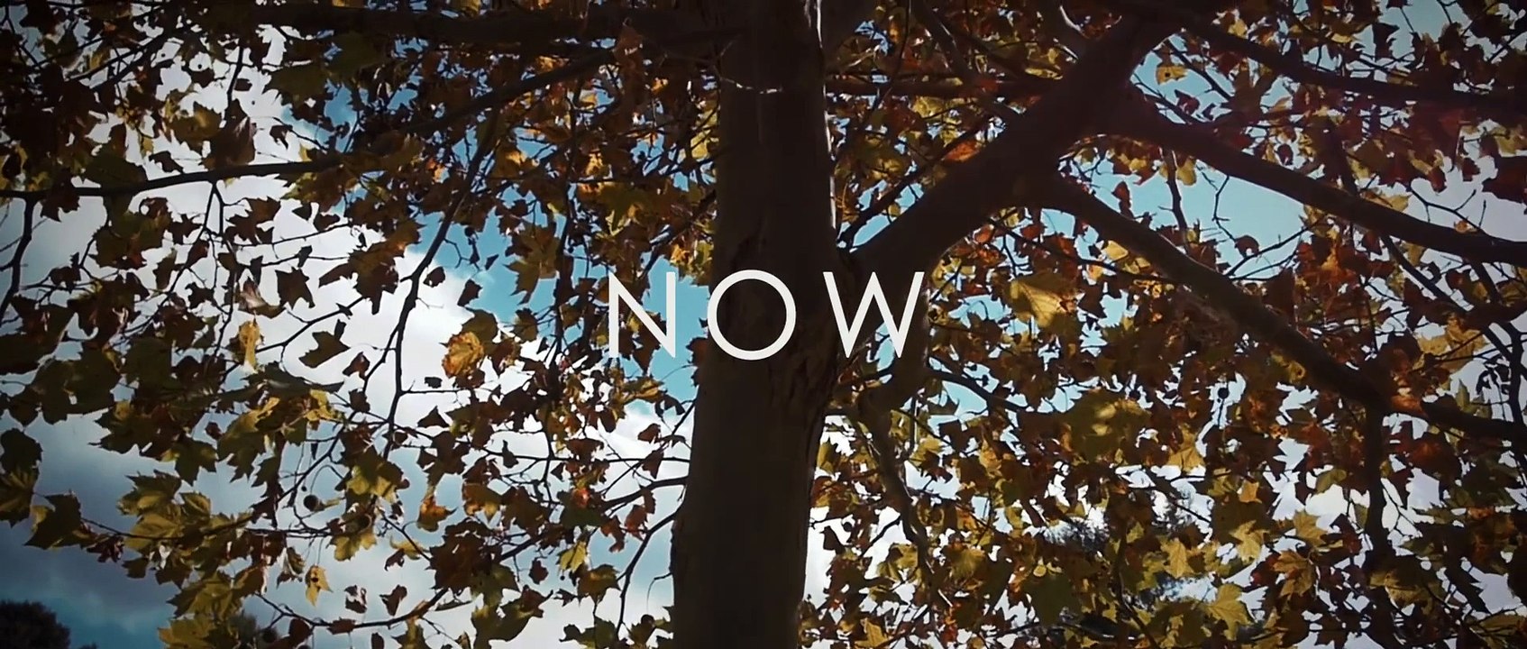 PLAYMEN - Stand By Me Now