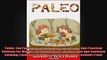 Paleo The Paleo Diet For Beginners Guide Easy And Practical Solution For Weight Loss And