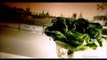 How Its Made - Hydroponic Lettuce - Construction Wood - Recycling - Fishing Flies