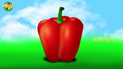 Fun Capsicum Cartoon Finger Family Nursery Rhymes for Kids 🌟