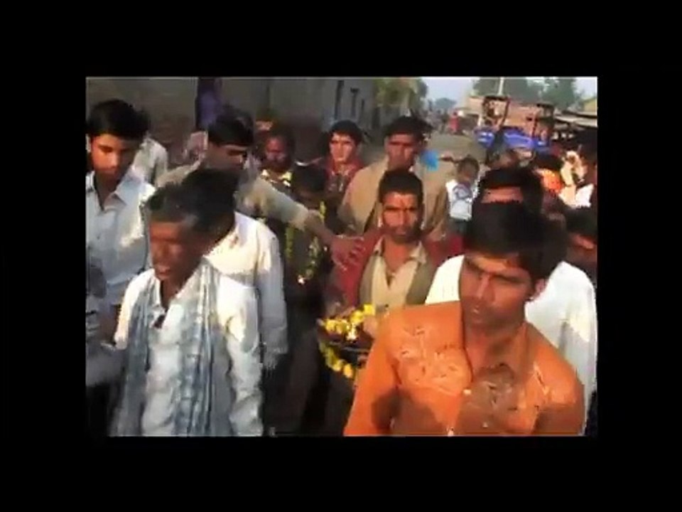 COWS WORSHIP