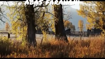 ‏زندگی‌ جاوید(بخت بیدار): بنان، محسنی، نواب صفاBanan: