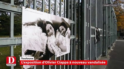 L'exposition contre l'homophobie d'Olivier Ciappa à nouveau vandalisée à Toulouse