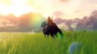 Zelda Wii U Gameplay - SUPER SLOWMO High Quality Replay Version