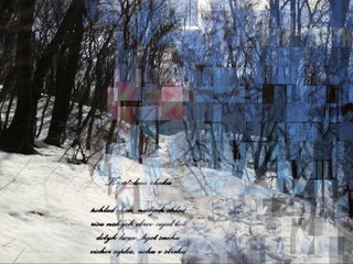 The Synesthesis - Perfection of The Nature I. - Snow Crystals