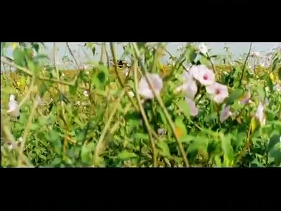 Pollathavan Tamil Movie | Daniyal Balaji Fight scene