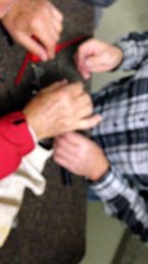 Remontage Rugger New Vaquero - Short Stroke