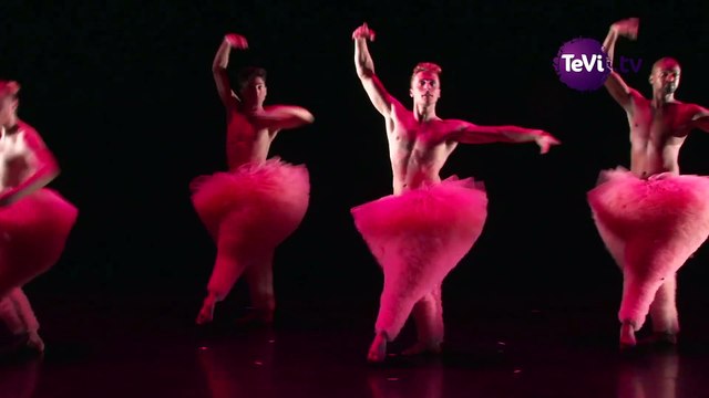 Tutu à Saint-Lô [TéVi] 15_12_08