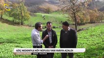 ÇOBANLA BAŞ BAŞA - 25.Sebepli Köyü Gönen SALMA SIĞIR SİSTEMİ İsmail Bozkurt