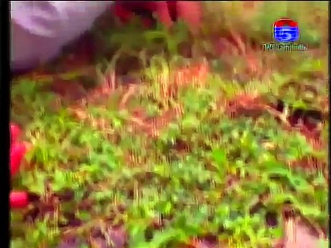 Part 18, Thai Drama Khmer Dubbed , Thai Movie Speak Khmer 2015