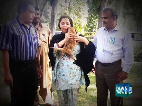 Pakistani actress Babra Sharif adopts lion cub