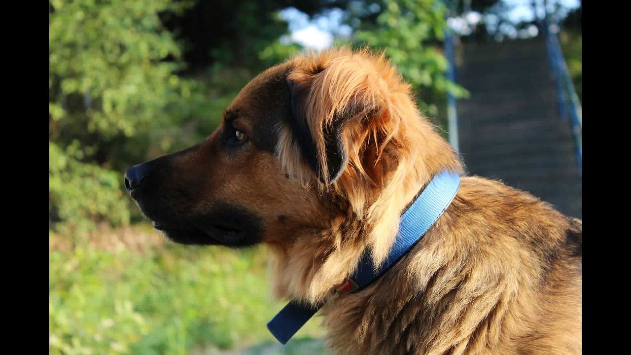 You got me lifted feeling so gifted (4 years karlchen)