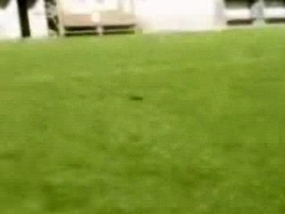 Amusant le challenge telefoot