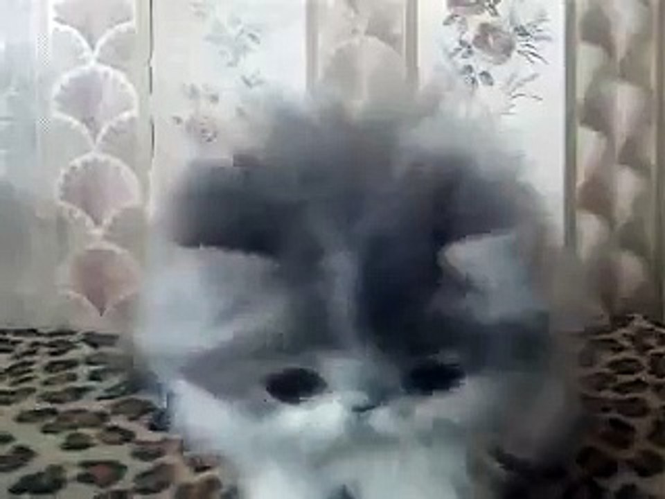 dmitriyves05b@mail.ru