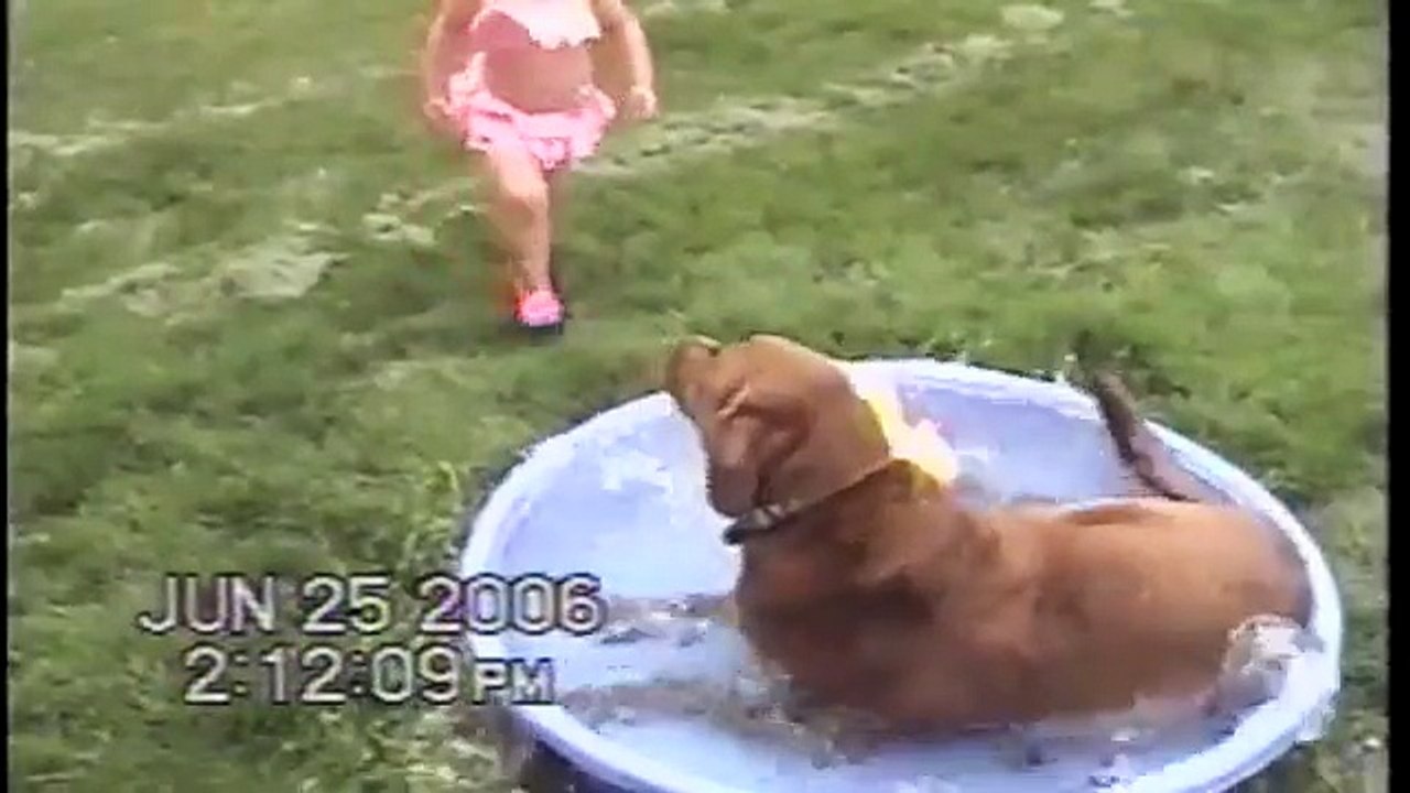 Dog Ruins Little Girl