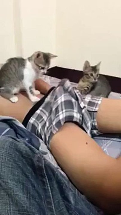 funny video
