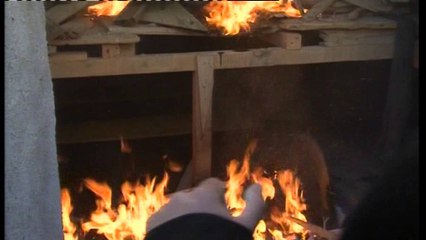 Digjet bunkeri. Protestuesit godasin ministritë, policia nuk ndërhyn