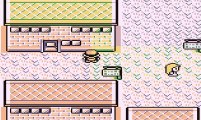 Pokemon Red Glitches