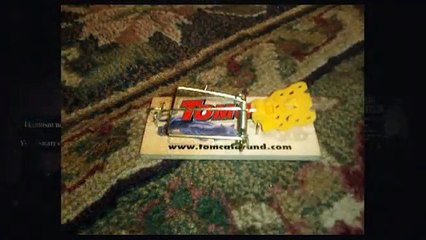 Mouse Trap Toe Torture tricky vid