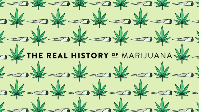 The Real History of Illegal Drugs: Marijuana