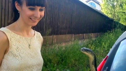 Поцелуй кобры! ПИПЕЦ... Я БЫ НЕ СМОГЛА ТАК
