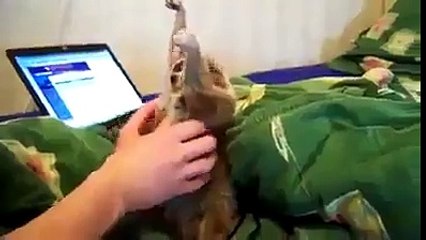 anybody having a bad day?