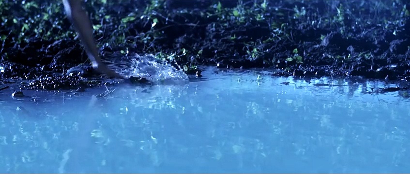 Sari Sari Raat -Inderjit Nikku ,Rimpy Prince