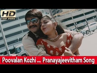 Poovalan Kozhi Koovmamo ... Meera Jasmine & Srikanth Romantic Song From - Pranayajeevitham [HD]