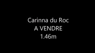 Carinna du Roc