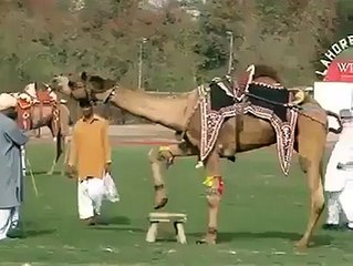 kabhi pehla aisa dekha..