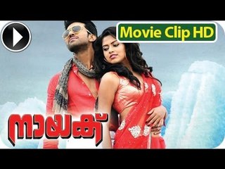 Naayak - Malayalam Full Movie 2013 - Romantic Scene 4 - Ram Charan Teja With Amala Paul [HD]