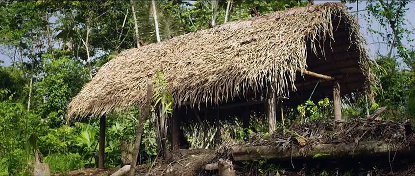 Hardwell - Dannic feat. Haris - Survivors