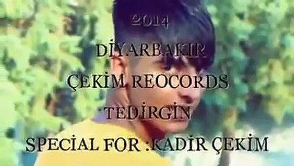 Tedirgin Sırrını Açıkladım 2oı4 Çekim Records