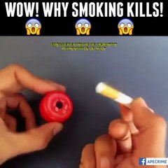 How Smoking Destroy our body - Must Watch!