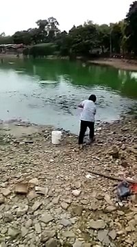 Une femme dépose de la nourriture au bord d'un lac, regardez la réaction des milliers de poissons ! Inimaginable !