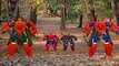 Spiderman Transports Finger Family Cartoon Animation Bikes Motorcycles Cars Race Bags Fing catoonTV!