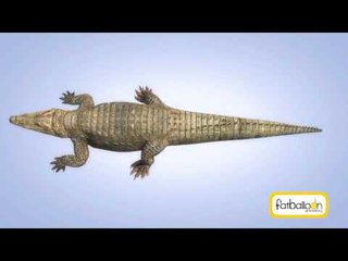 Making Of Crocodile | Crocodile Love Story Malayalam Movie 2013