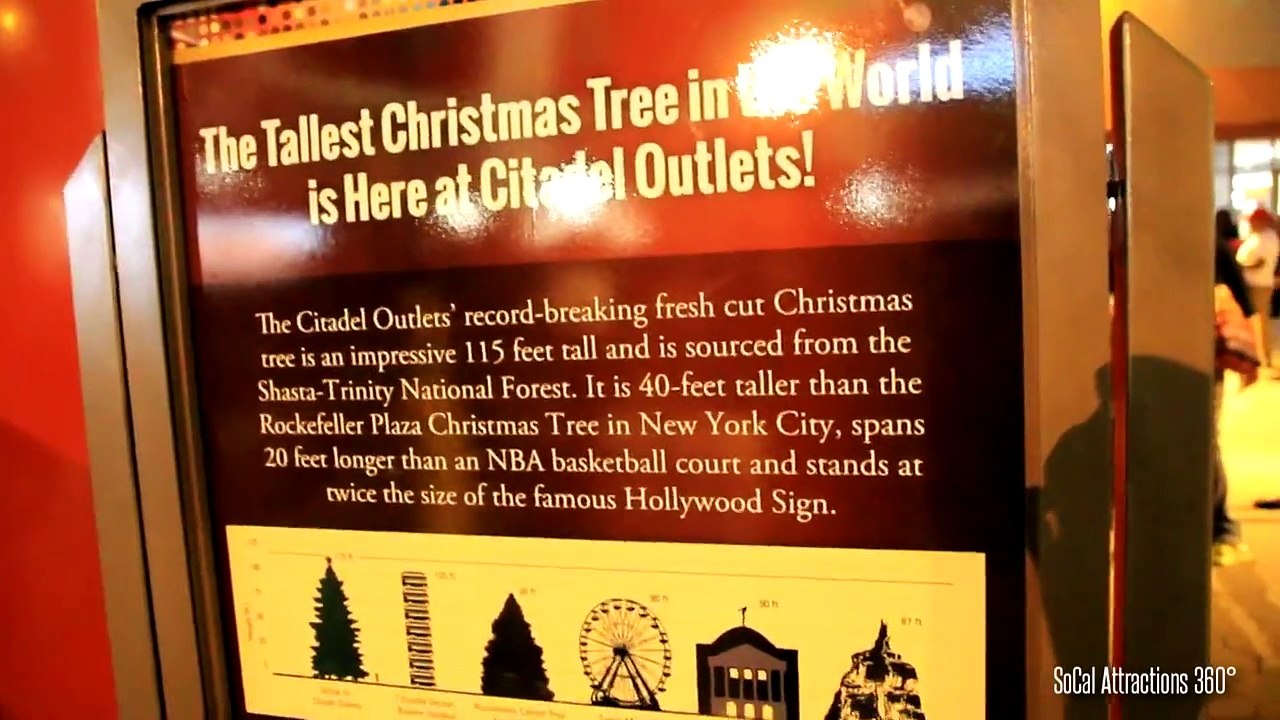 Citadel Outlets Worlds Tallest Tree
