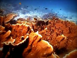 Andaman and Nicobar Islands - Most Visited Tourist Place in India