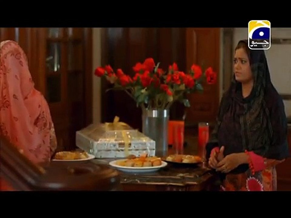 Dil Ishq Last Episode 25 Full on Geo tv 8th December 2015