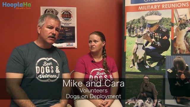 Dogs On Deployment Places Pets Of Soldiers In Foster Homes