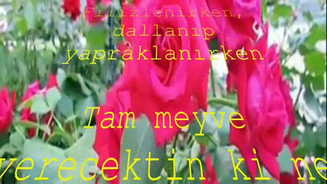 ŞİİR: SEN ve SORU İŞARETLERİ? (BOJİDAR ÇİPOF)