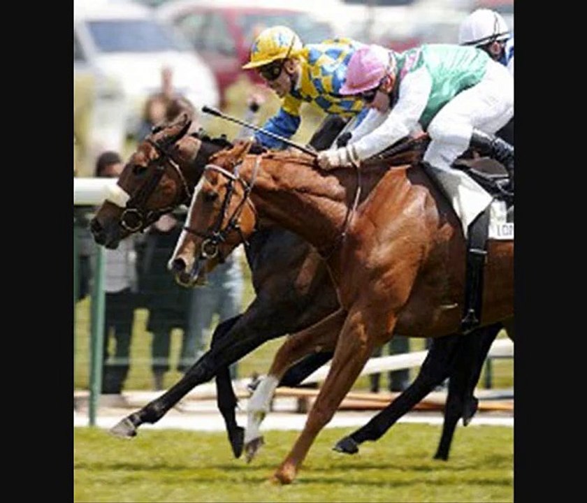 Special Duty - 2010 Poule D'Essai Des Pouliches G1