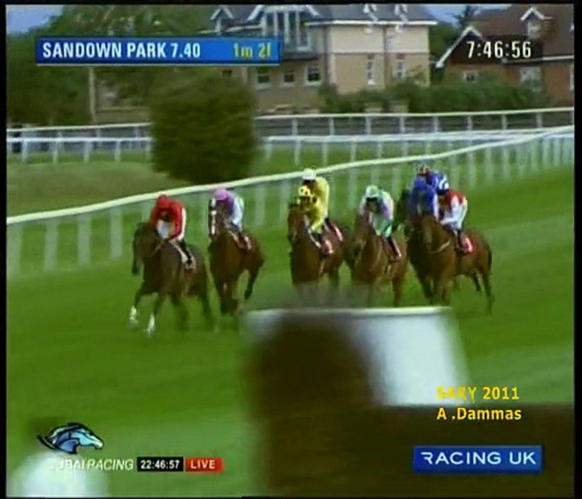 Piper Heidsieck Champagne Brigadier Gerard Stakes 2011 G3 - WORK FORCE
