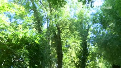 Régionales 2015 : Les compétences environnementales (Vendée)