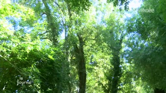 Régionales 2015 : Les compétences environnementales (Vendée)