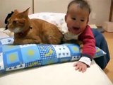 Кот и Ребенок! Очень терпеливый кот!-игры приколы